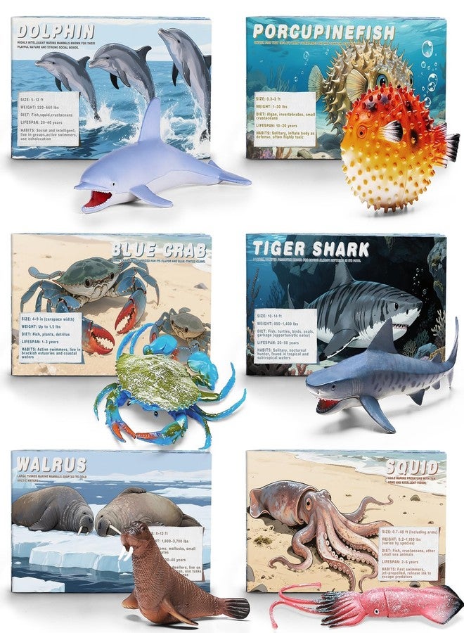 MOEAWS 20 Pcs Ocean Animal Toy with Educational Booklet, Plastic Sea Animal with Gift Box, Mini Sea Creature Figures for Kids Age 3+, Birthday Gift, Ocean Theme Party Favor, Water Bath Toy for Toddler - Image 5